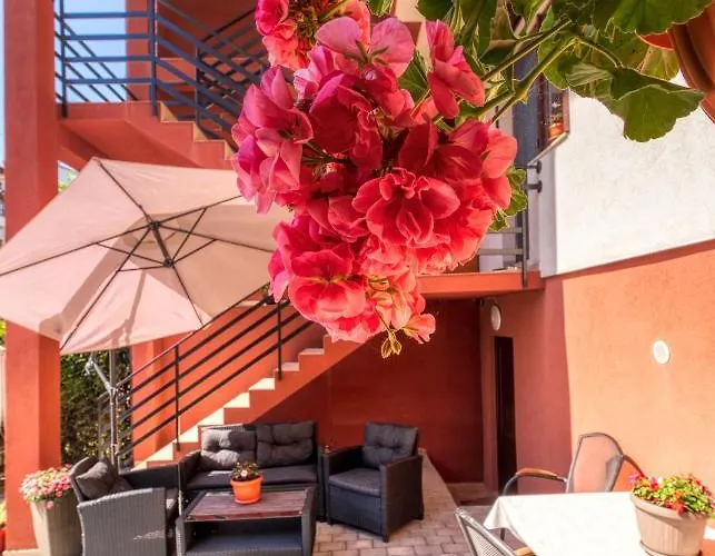 招待所 Casa Helena 艾福雷诺德